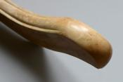 ZGK 3 (femur) 11-2023 9338